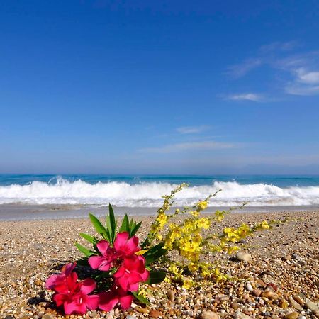 Almyra Beach House Corfu Paralía Almirú Kültér fotó