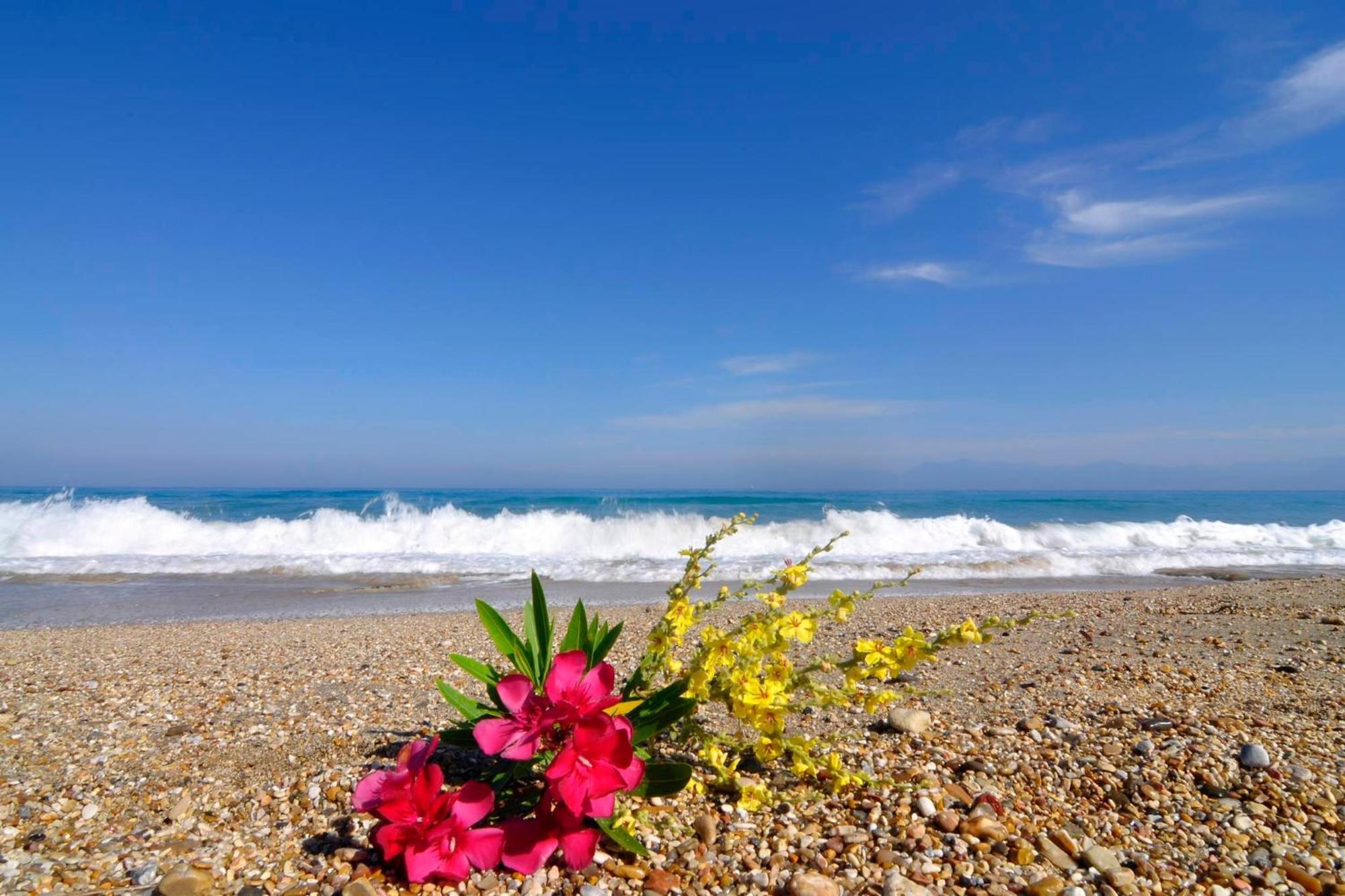 Almyra Beach House Corfu Paralía Almirú Kültér fotó